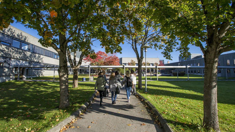 studenter på vei inn til campus Porsgrunn. Foto