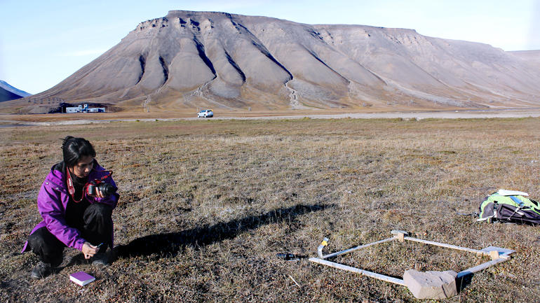 Ph.d-student med asiatisk opprinnelse sittende på knærne og gjør feltarbeid med fjellandskap i bakgrunnen på Svalbard. Ikke snø.