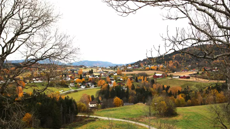 fensfeltet sett fra hollahøgden
