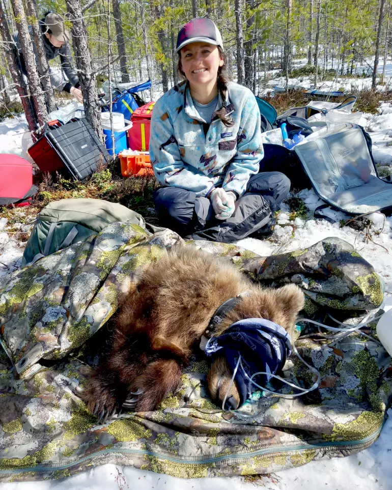 Fotograf: Privat Ashlee ute i skogen i feltarbeidet med caps sttende foran en bedøvet brunbjørn
