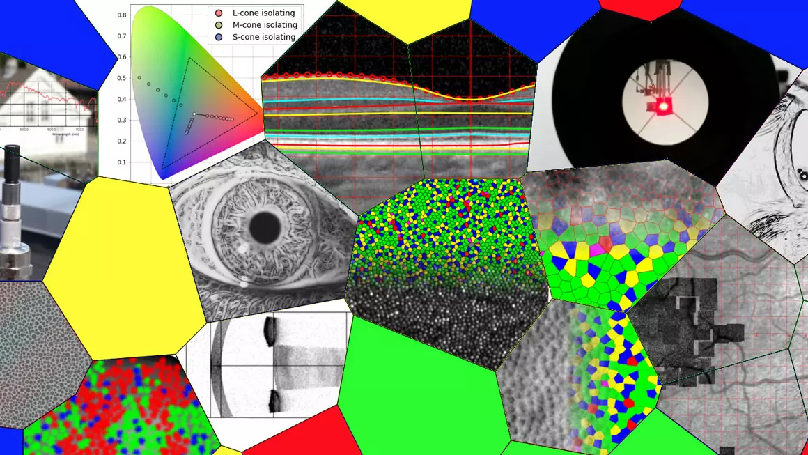 Koret Vision Research Lab Colour Vision & Retinal Imaging Lab - Universitetet i Sørøst-Norge