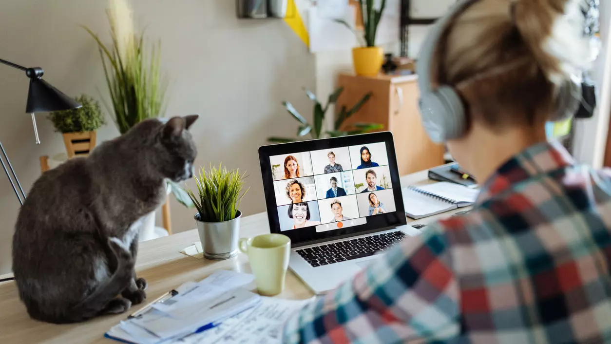 Kvinne på hjemmekontor med katt. 