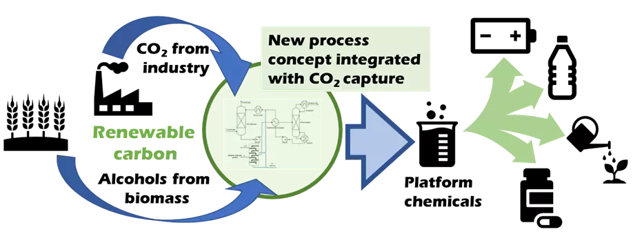 Alcohol-based process for production of carbonic acid diesters from CO2 ...