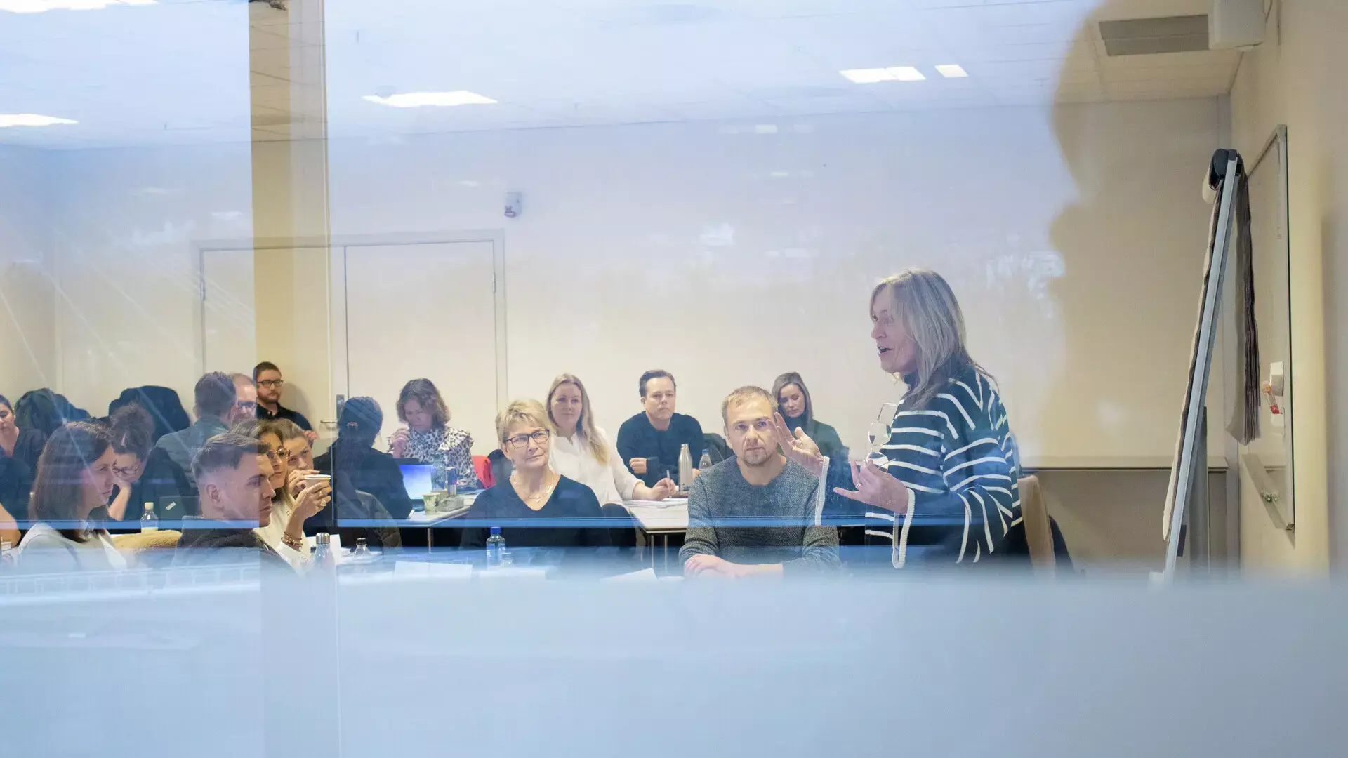 Undervisning i kommunikasjon, samspill og ledelse i organisasjoner som inngår i Executive master of management