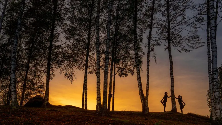 Idrettsstudenter strekker ut i bjørkeskogen etter en treningsøkt