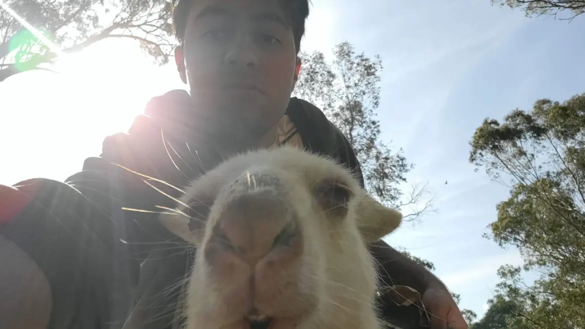 Person sammen med en kenguru