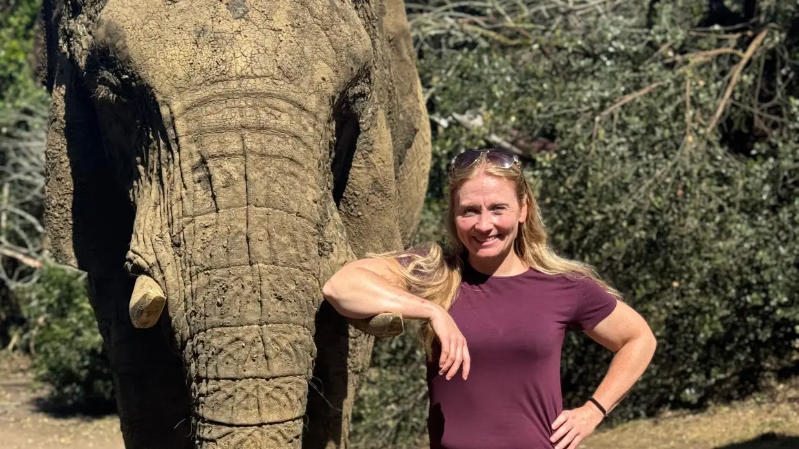 Person sammen med en elefant