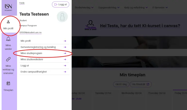 Mine studieprogramslenke på min.usn.no