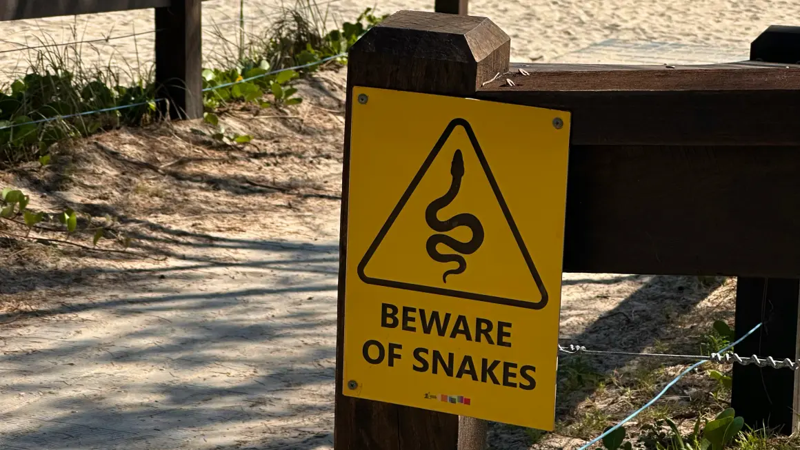 Skilt på stranden om å passe seg for slanger