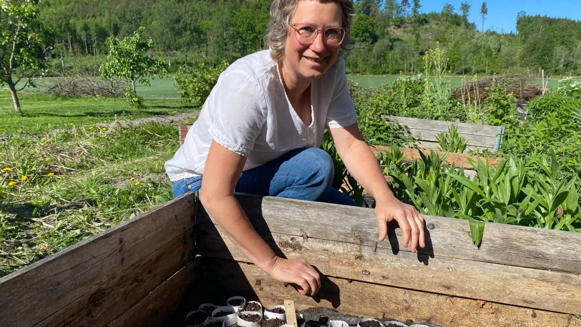 GÅRDBRUKER: Susanne Moen Ouff har overtatt familiegården og driver både med vanlig korn og mer nisjedyrking. Det siste er en forlenging av forskningsarbeidet hennes ved Universitetet i Sørøst-Norge. (Foto: Guro Danielsen/USN) smilende dame ved plantekasse
