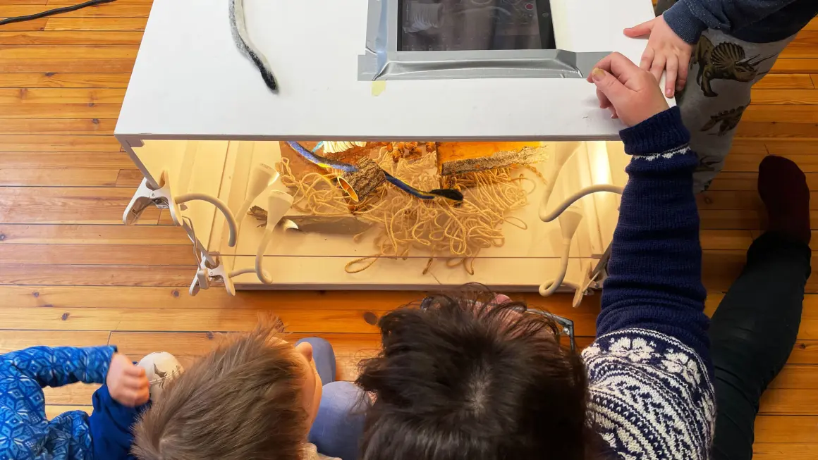 barnebakhoder foran kasse med ull og ipad