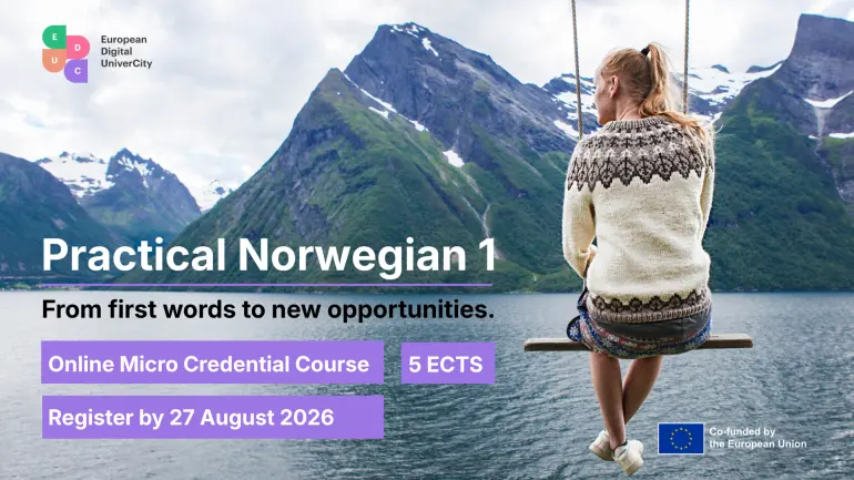 Woman with Nordic features on a swing in front of a spectacular fjord view. photo