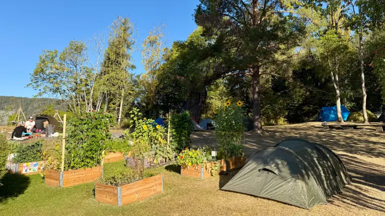 I DET FRI: Med kjøkkenhage og solsikker som nærmeste nabo, omringet av fjell, bor man midt i smørøyet noen meter fra undervisningslokalene. (Foto: Guro Danielsen/USN) skolehage med blomster foran flere telt