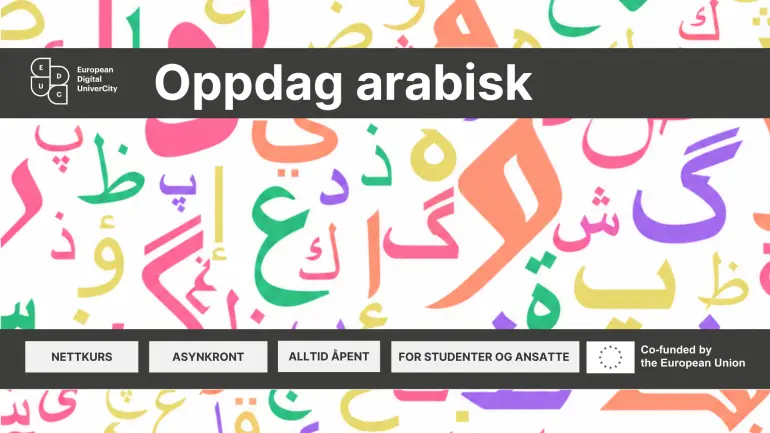 arabiske tegn i EDUC-farger. Illustrasjon