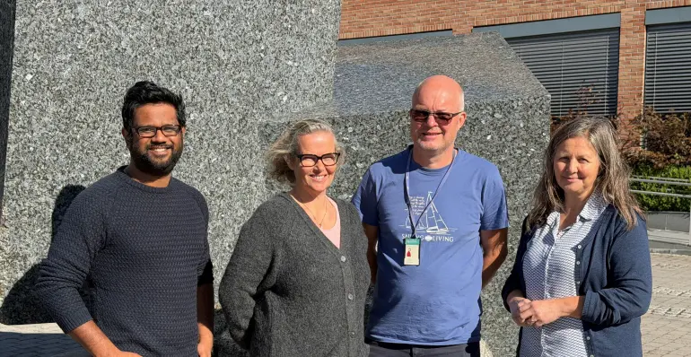 the team members