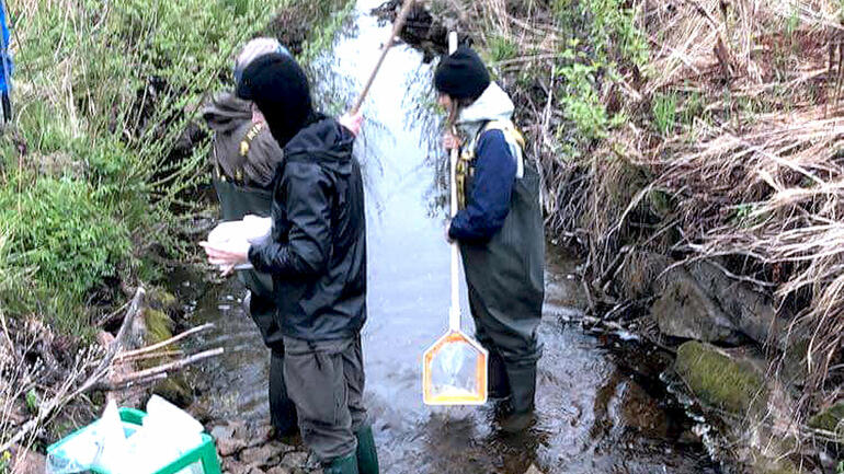 Studenter ikledd regndress står i en elv og jobber med prøver. 